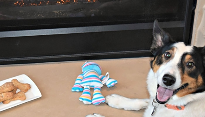 waldorf-astoria-park-city-pet-friendly Waldorf Astoria Park City
