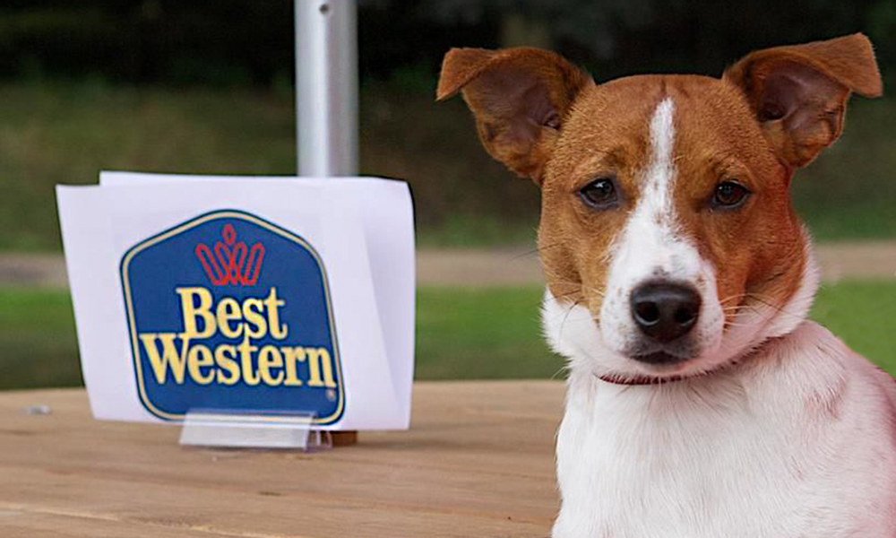 Best Western Landmark Inn Park City Pets