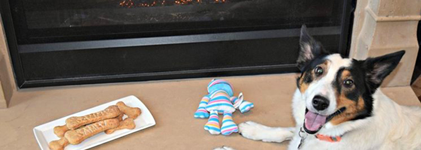 The 10 Best Pet Friendly Hotels in Park City Stay Park City