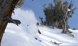 Winter Skiing Powder
