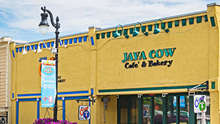 Java Cow Park City