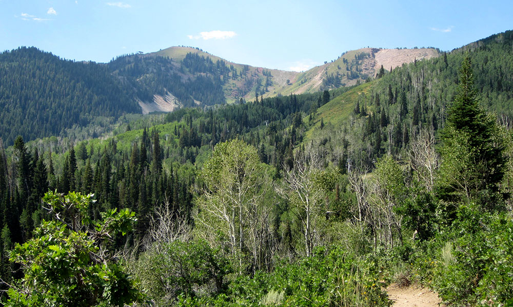 Mid-Mountain-Trail-Park-City Hikes