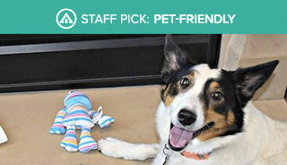 Waldorf Astoria Stay Park City Staff Pick pets