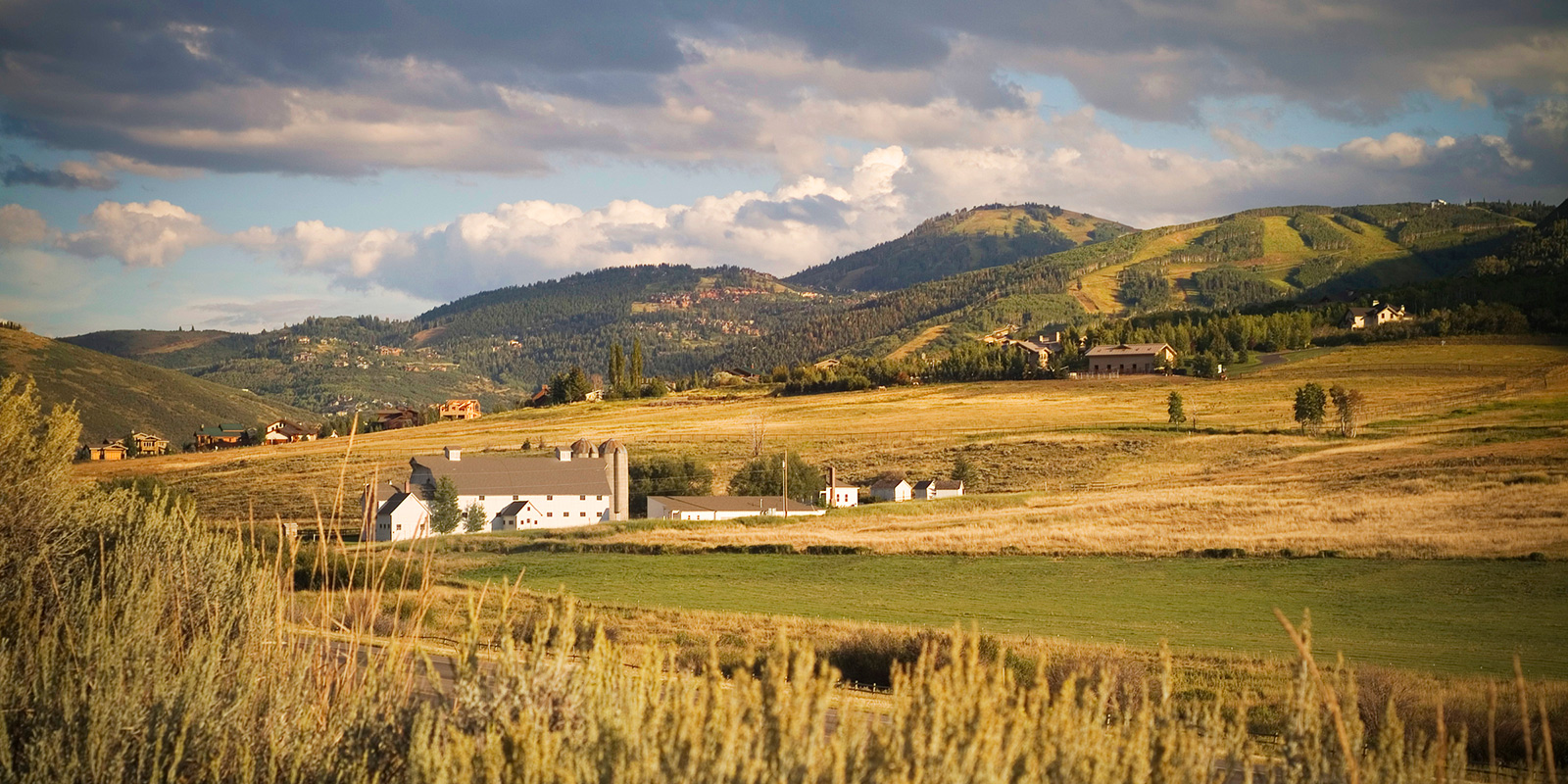 Park City Summer